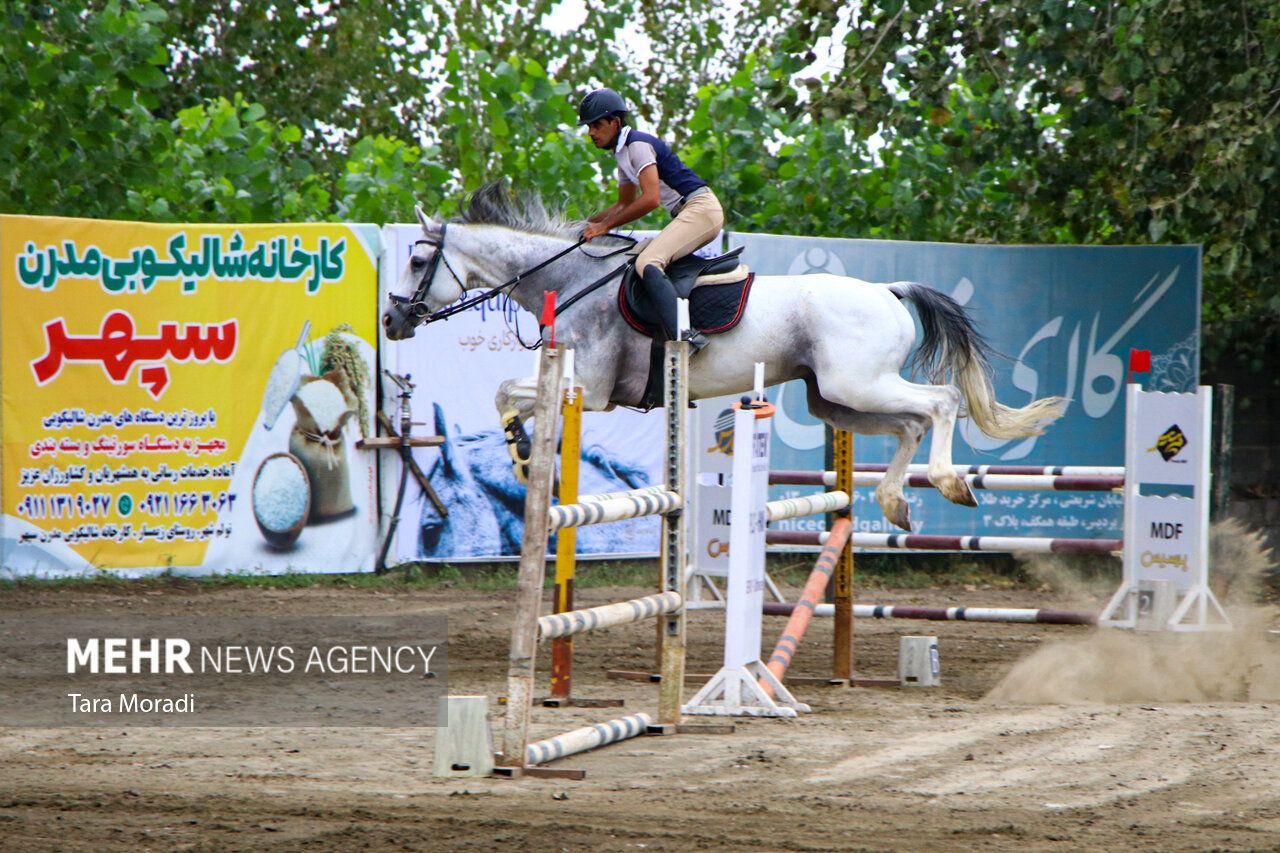 Cavalière franchissant un obstacle en concours de saut
