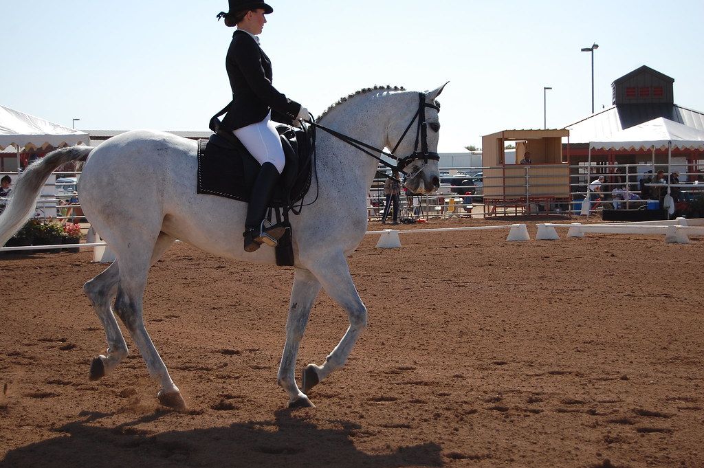 Cheval et cavalier exécutant une reprise de dressage